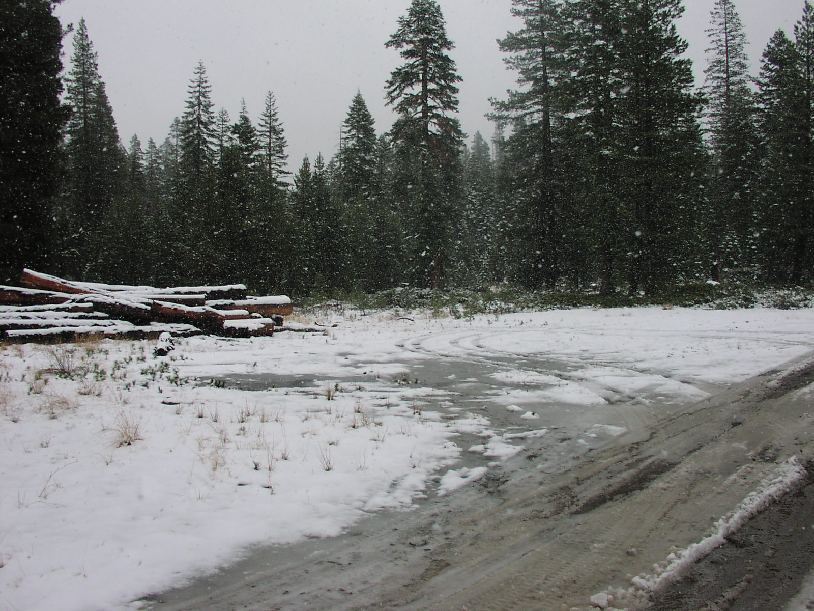 Gentry Off Road California Eldorado National Forest 11N28 By whokrz