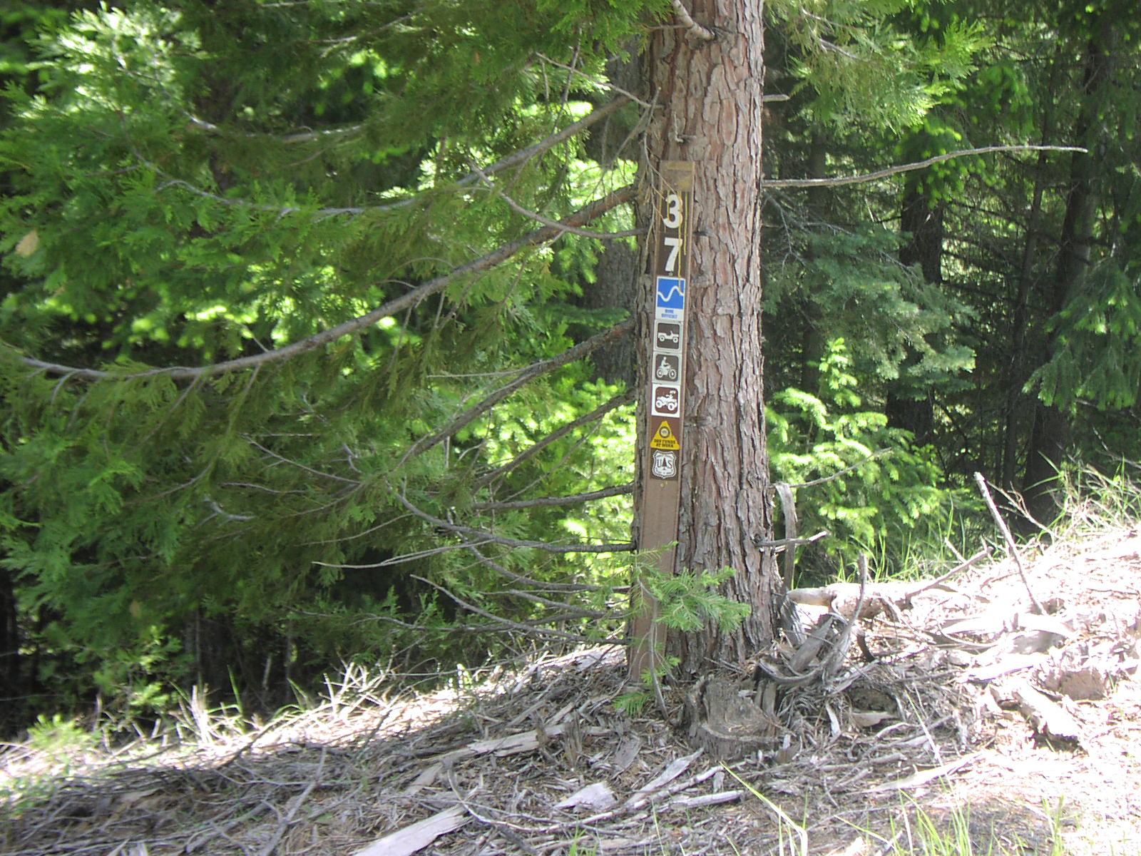 Gentry Off Road California Plumas National Forest Cleghorn Bar