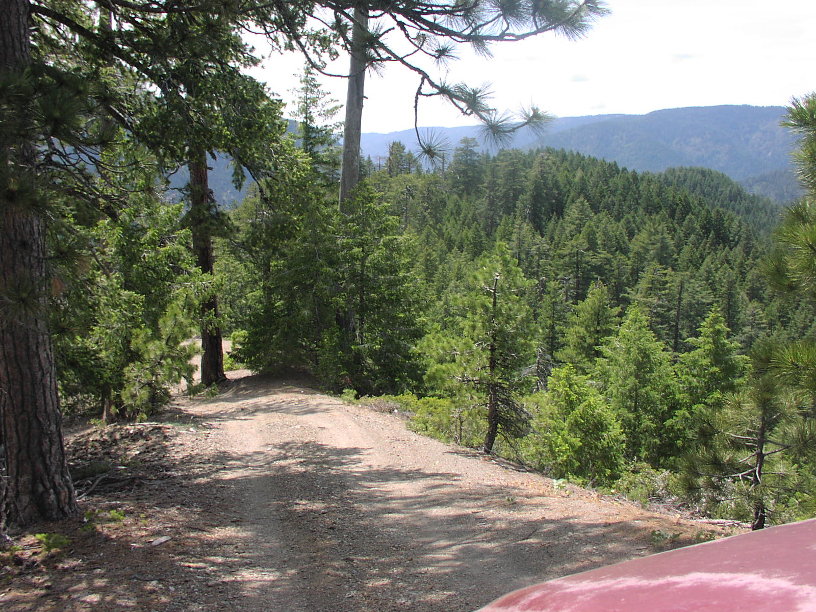 Gentry Off Road California Plumas National Forest Cleghorn Bar