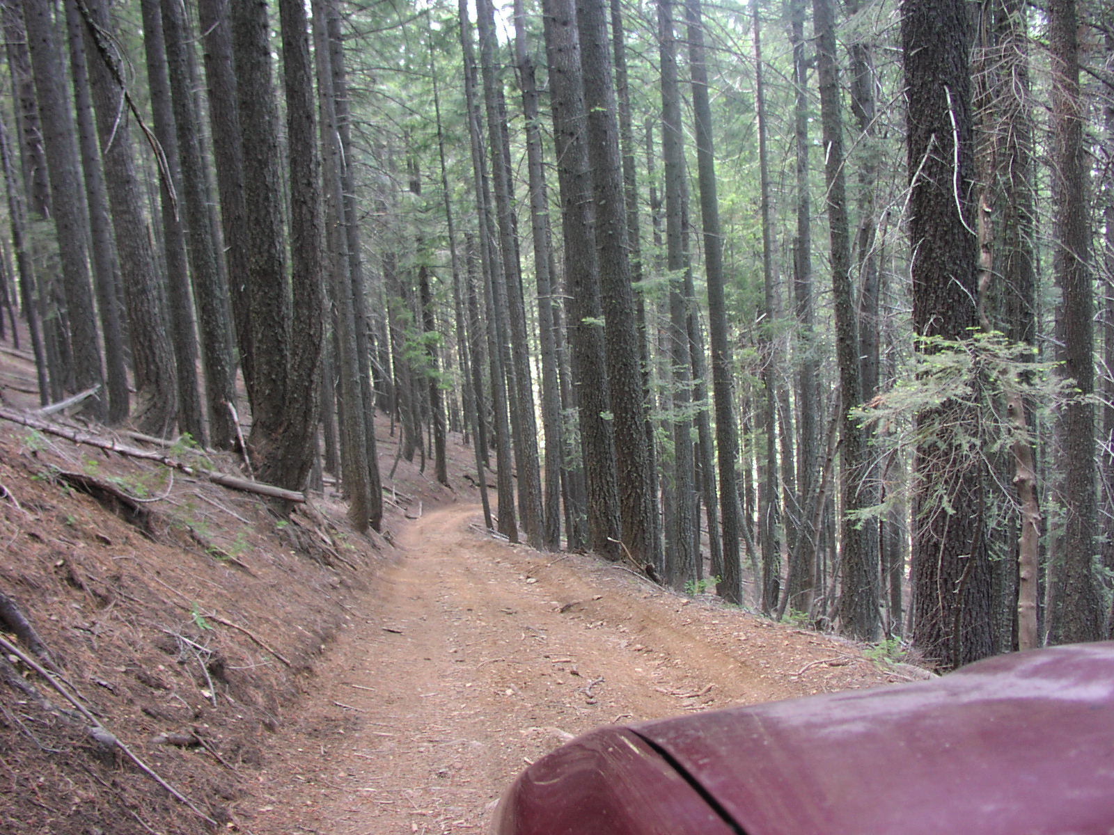 Gentry Off Road California Plumas National Forest Cleghorn Bar