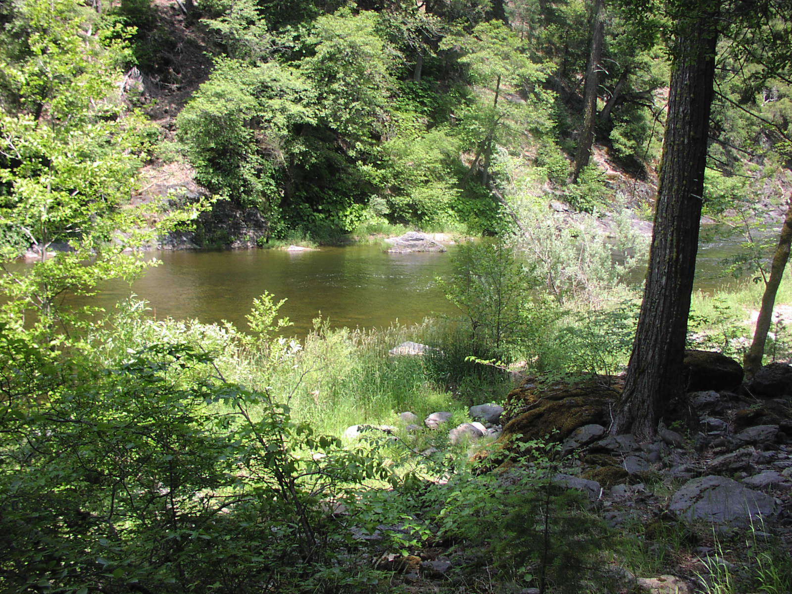 Gentry Off Road California Plumas National Forest Cleghorn Bar