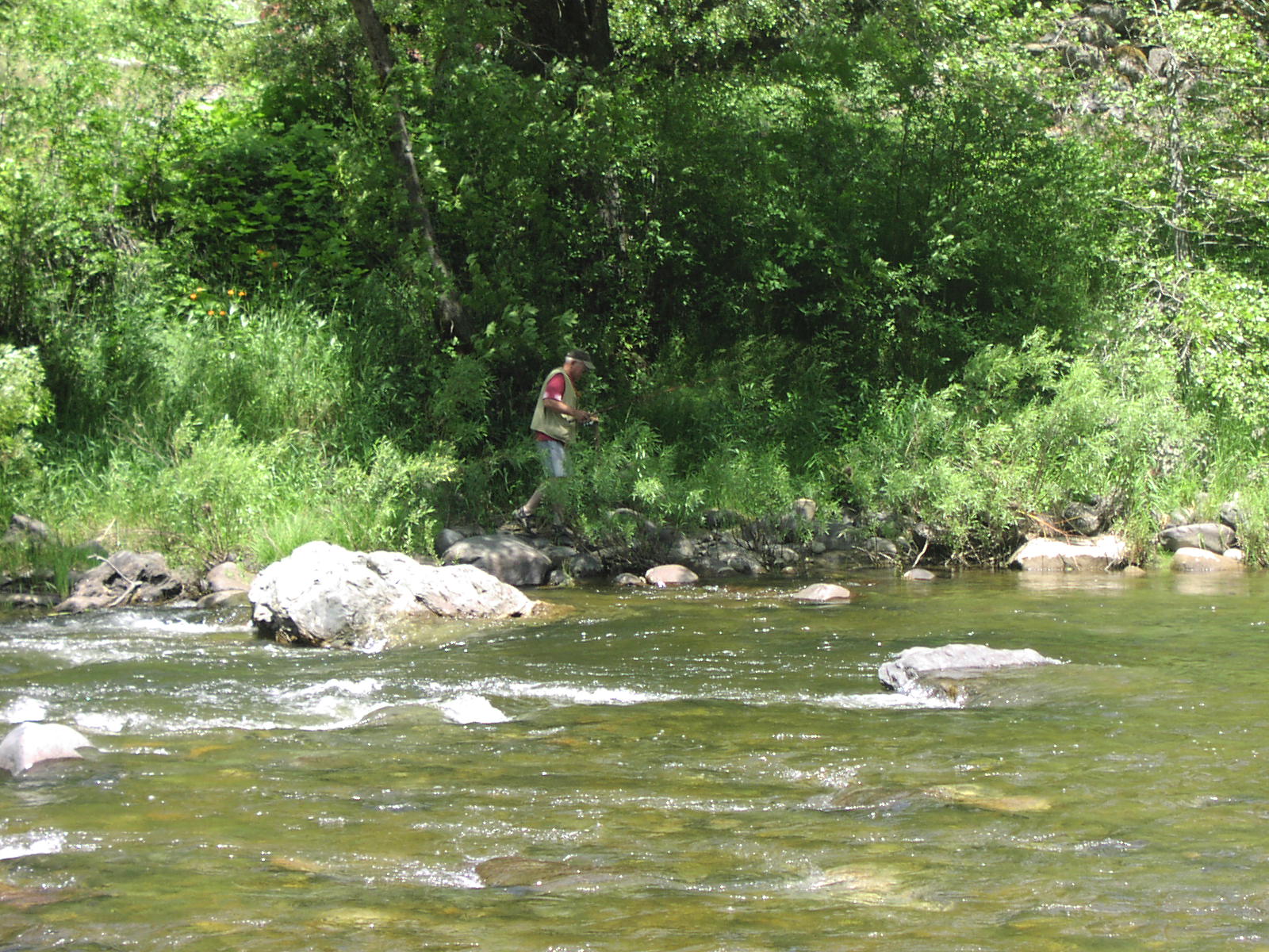 Gentry Off Road California Plumas National Forest Cleghorn Bar