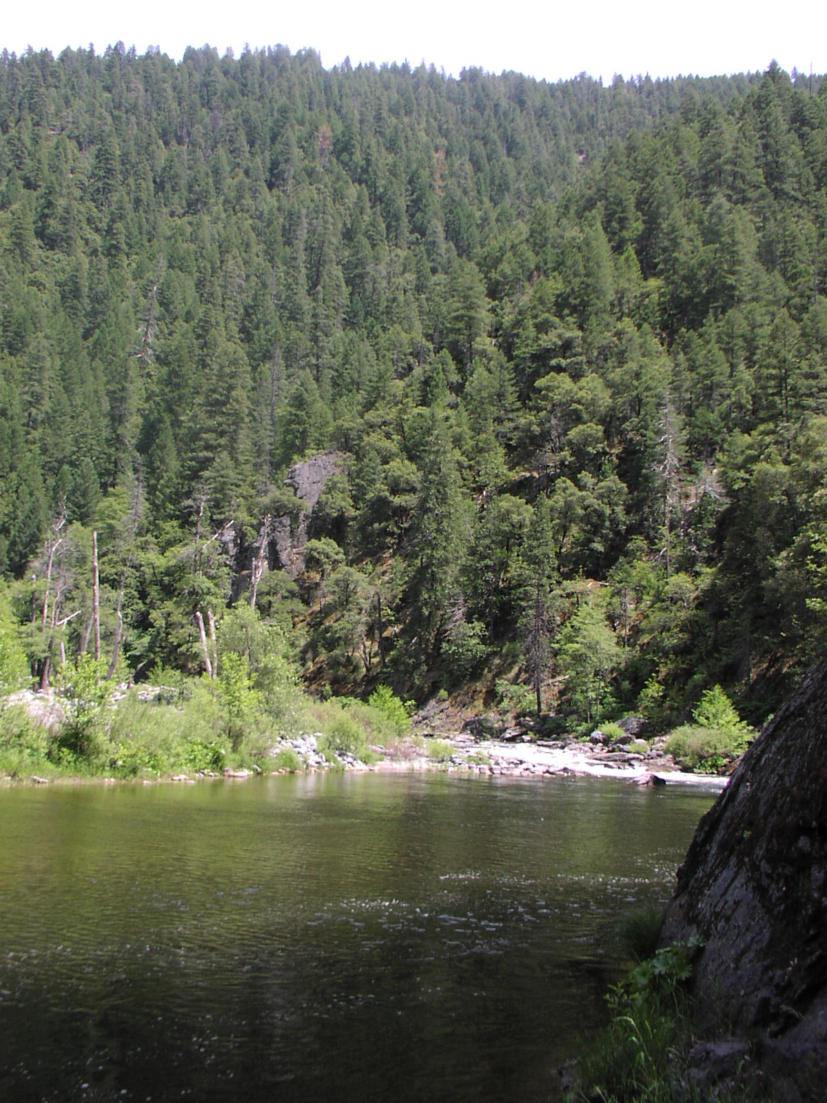 Gentry Off Road California Plumas National Forest Cleghorn Bar