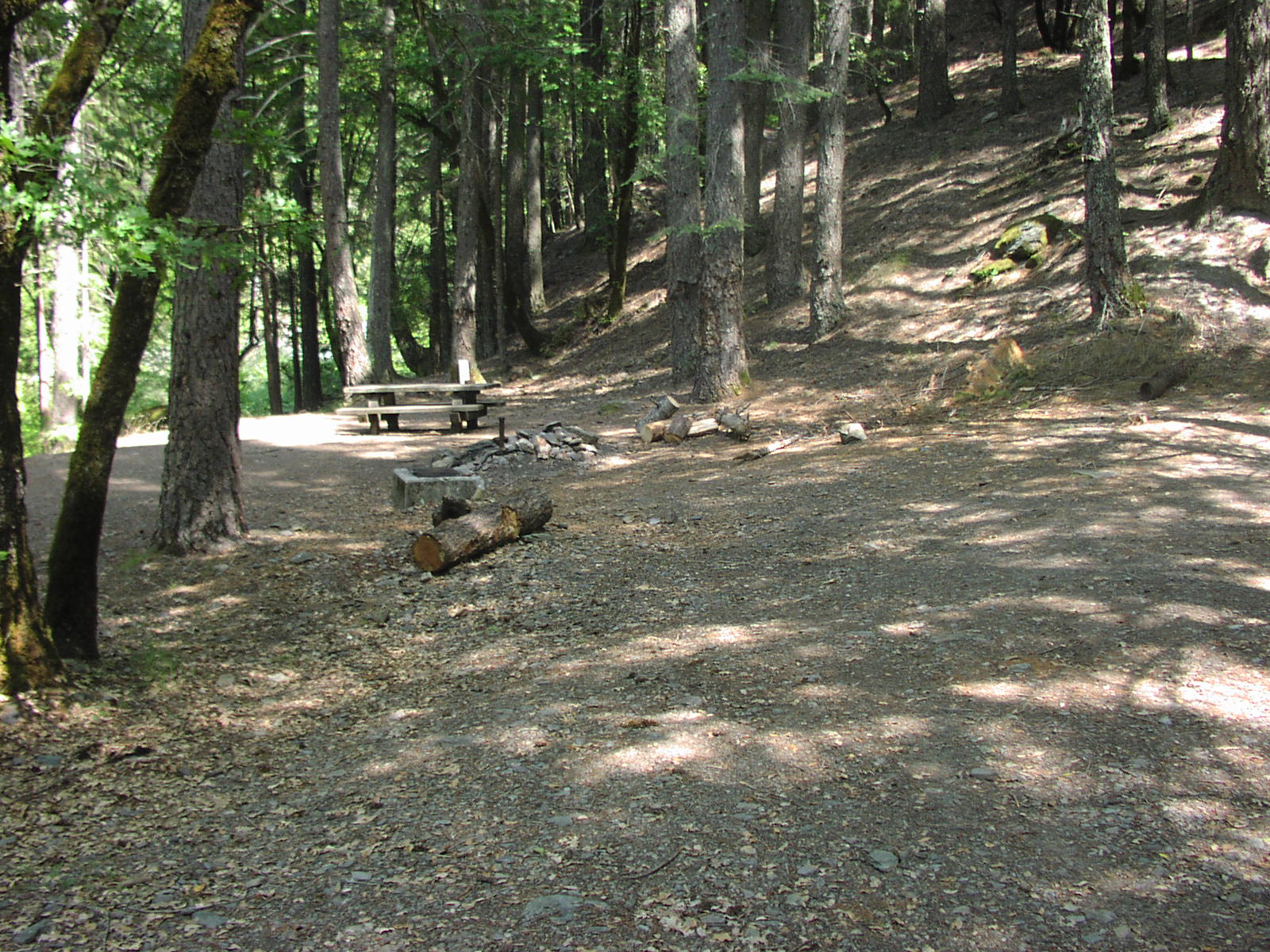 Gentry Off Road California Plumas National Forest Cleghorn Bar