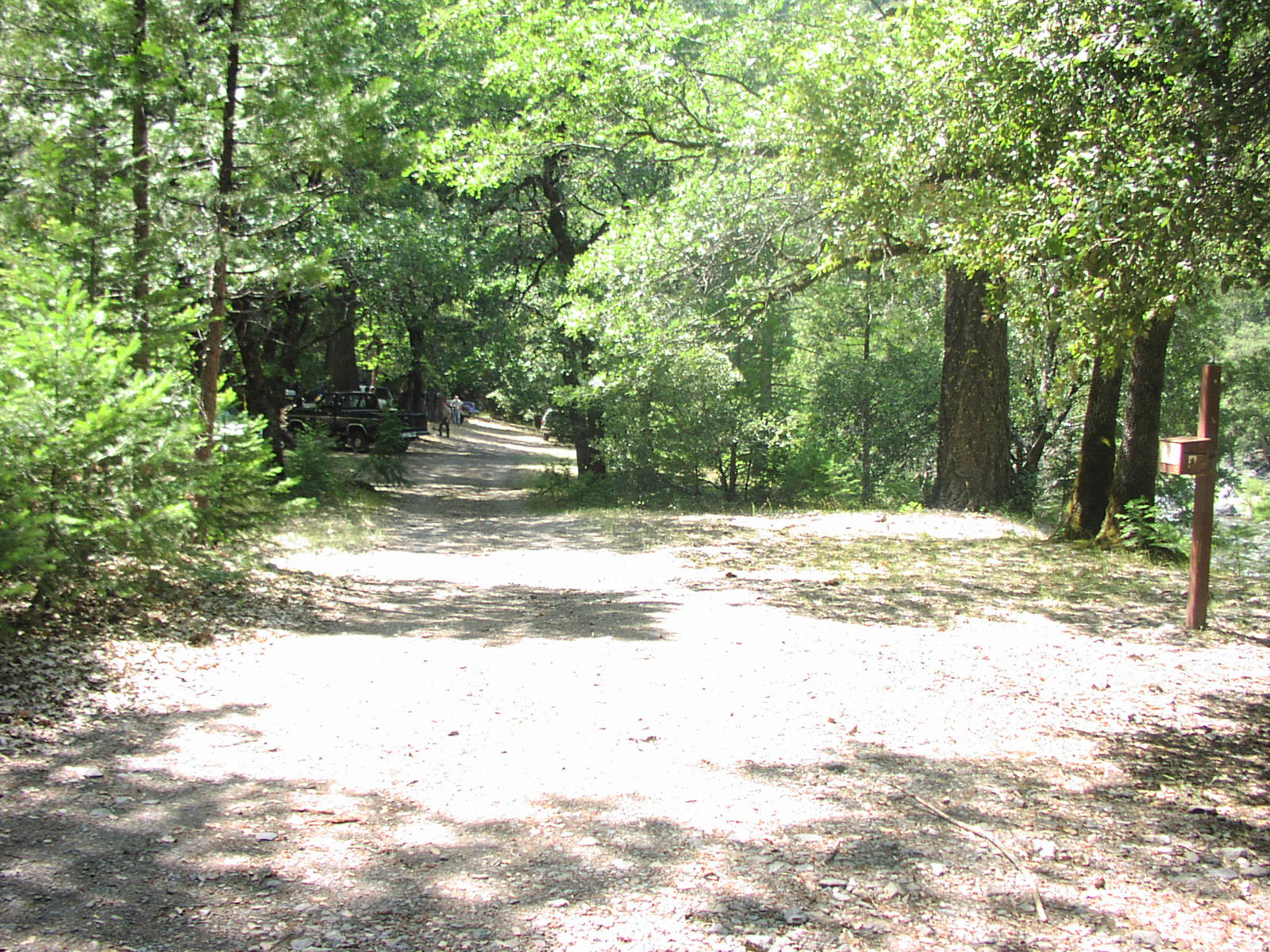 Gentry Off Road California Plumas National Forest Cleghorn Bar