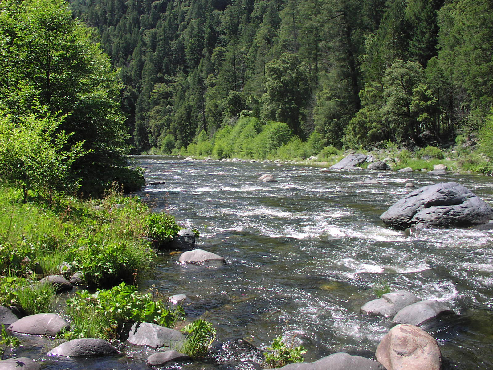 Gentry Off Road California Plumas National Forest Cleghorn Bar