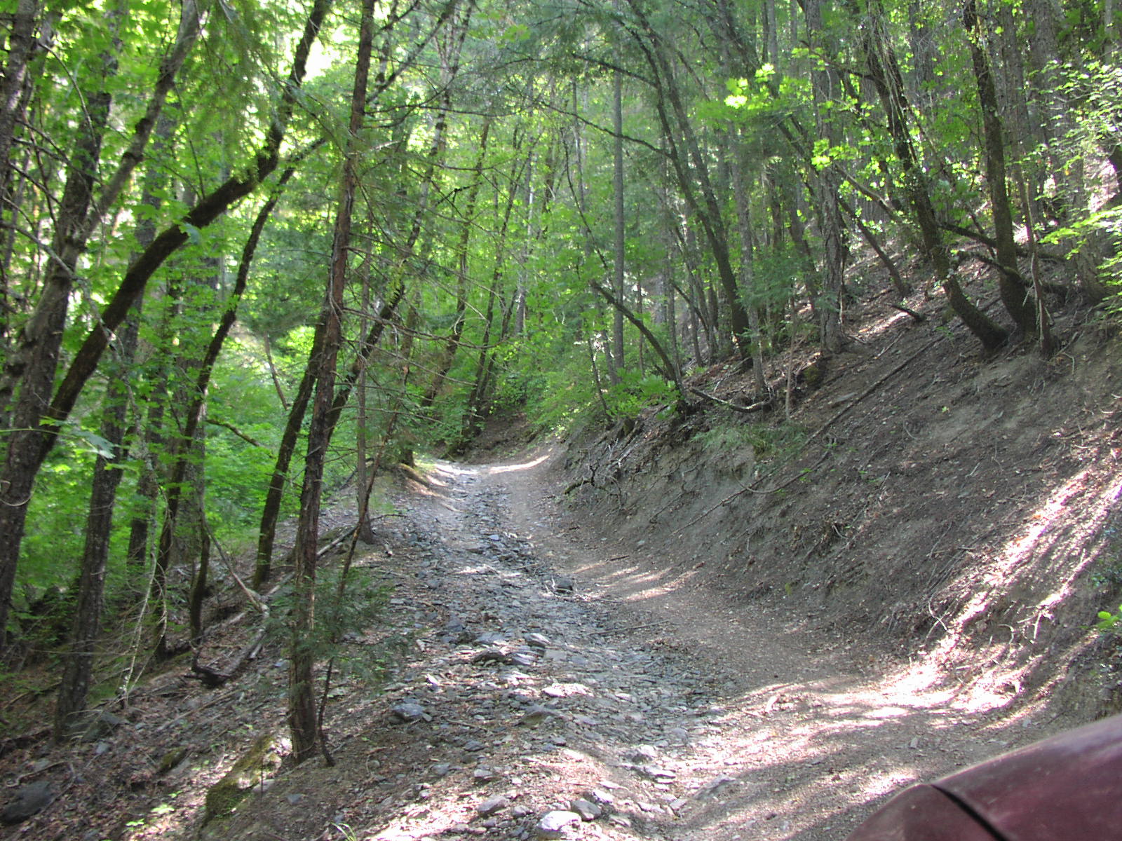 Gentry Off Road California Plumas National Forest Cleghorn Bar
