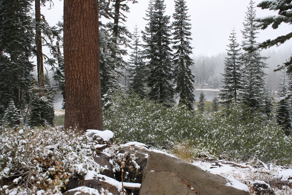 Gentry Off Road California Tahoe National Forest Blackwood Canyon