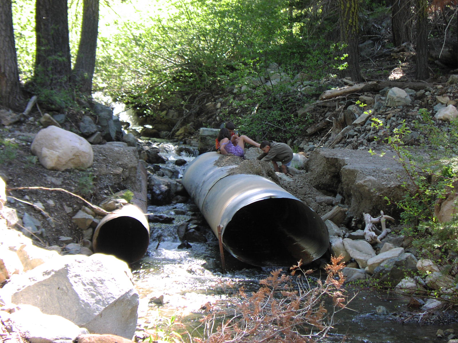 Gentry Off Road California Tahoe National Forest Catfish Lake