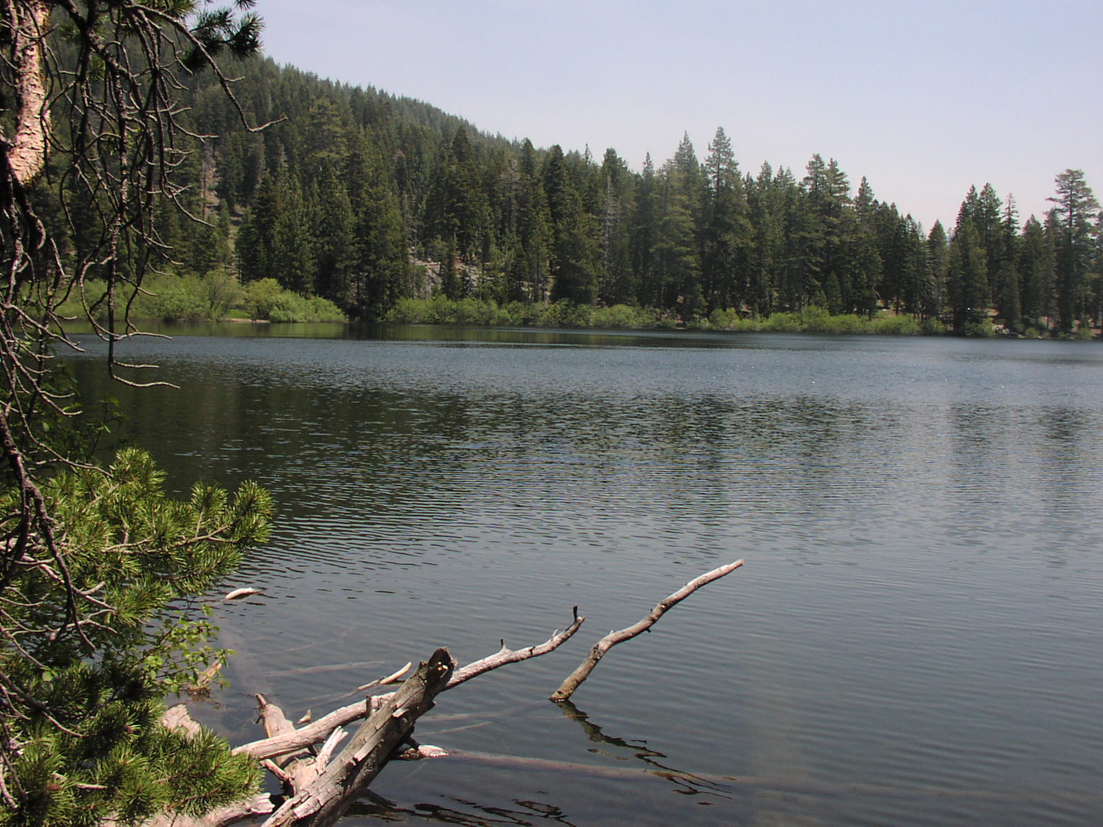 Gentry Off Road California Tahoe National Forest Catfish Lake